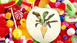 Student product: Sugar Beet Sugar (Robotic Documentary Project)