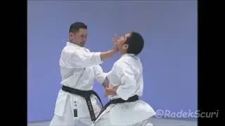 Seisan _ karate kata & bunkai