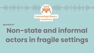 Non-state and informal actors in fragile settings