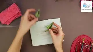 Video to the Silk Apple Blossom Corsage Tutorial