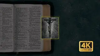 Feel God&rsquo;s Presence | Open Bible & Gentle Rain | 3.5 Hours with Jesus | 4K