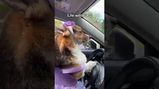 Life before GPS was a struggle
