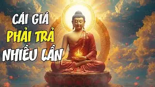 Thứ đã khiến chúng ta trả giá nhiều lần — gói gọn trong 16 chữ
