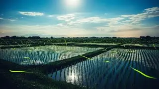 Chill Lofi Quiet-Breeze Textures Moving Above Rice Terraces Wrapped In Pure Night Calm