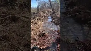 Creek cleanup