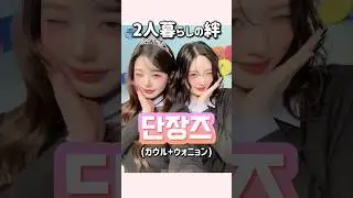 【ケミ紹介】ソウルメイトでルームメイト🏠短長ズ#ive#アイヴ#ガウル#ウォニョン