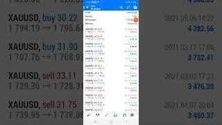 Forex Best Expert Advisor | Best Forex Robot | 100% Profitable