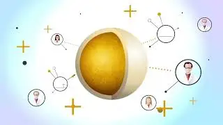 BIOPOWER SC 10 ME - Lallemand&rsquo;s microencapsulation technology protecting the viable probiotic yeast