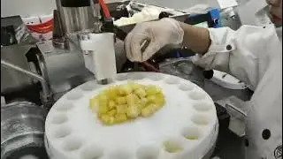 Shanghai Yucheng Machinery YC-460 Fruit Ice Cream Mochi Encrusting Machine