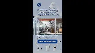 Efficient Case Palletizing, Han's Robot Helps Intelligent Manufacturing!