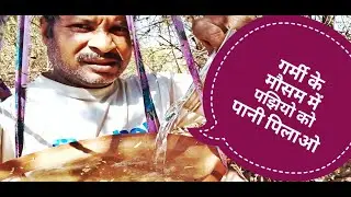 birds is safe  ,temperature hi drinking water पक्षियों को केसे बचाऐ