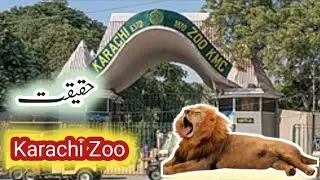 Ghadi Garden Zoo Reality 🦁 | Apne Camera Se Record Sher Ki Asli Awaz