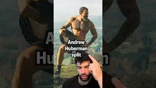 Andrew Huberman, What is This??