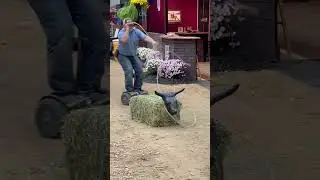 Cowboy Falls Off Hoverboard Trying To Lasso 🤣