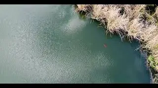 Riata Neighborhood Park Lake | Austin, Texas | DJI Mini 2