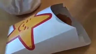 Carl Jr's Onion Rings Review