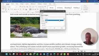 Automate Your Table of Figures in Word | Thesis Formatting Tutorial