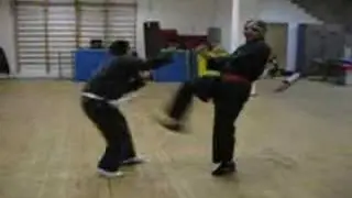 Narcisi Tao Chen-Lam Kiun Pak Toi - LKPT 5Maestro