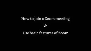 Zoom Basic Features