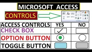 How To Use Control Check Box Option Button & Toggle Button In Microsoft Access