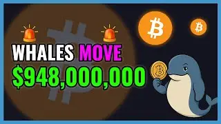 BTC Whales Just Moved $948,000,000!🚨Whale Alert