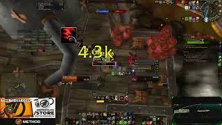 Feral 1v2 Paladin Deathknight