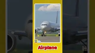 Airplane Sounds for Toddlers 🛩 | Fun & Learn
