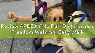Review APDEXY No Pull Dog Harness Freedom Walking, Easy Walk with Front and Back Stainless D-Rings,