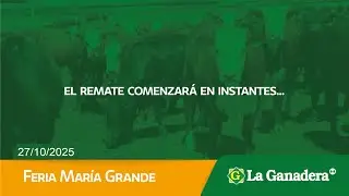 Remate de Cooperativa La Ganadera desde Sociedad Rural de Mar&iacute;a Grande.