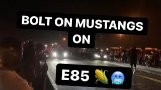 N/A 10 SPEED MUSTANGS GO AT IT | $2800 POT