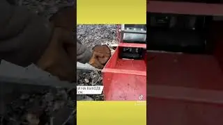 Подрібннювач гілок РБ 110, бензиновий двигун. Измельчитель веток РБ-110 бензиновый двигатель