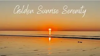 Golden Sunrise at Salisbury Beach with Seagulls on the Move - For Relaxation, Meditation and Sleep