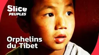 Enfants de l’Himalaya : l’école de l’exil I PART 2 I | SLICE PEUPLES