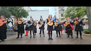 LA TUNA FEMENINA DE CIENCIAS SOCIALES Y DE LA COMUNICACIÓN DE JEREZ DE LA FRONTERA ( CÁDIZ ).