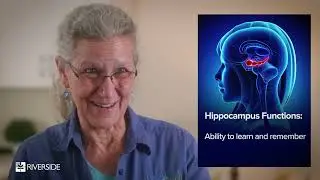The Functions of the Hippocampus