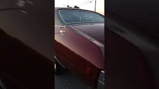 1972 Chevelle See the USA #cars #classiccars #classicmuscle #SHORTS #short #shortvideo #shortsvideo