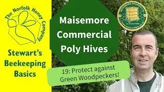 Protection against Green Woodpeckers! Maisemore Commercial Poly Hive