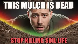 This ONE Mulch Mistake Is Killing Your Soil 🌱 Fix It & Double Soil Life FAST