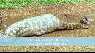 The Nigerian snake that swallowed 36 million naira in jamb office
