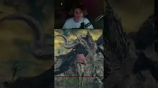 Schwerster Elden Ring Drache