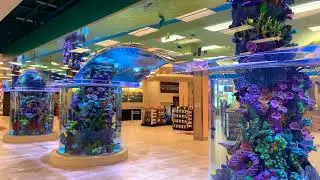 Scheels Sporting Goods Aquarium
