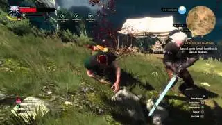 Witcher 3 Finishers