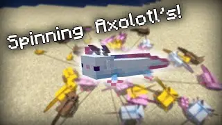 Spinning Axolotl's