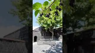 G&uuml;neydoğu'nun Avlusu  #diyarbakır #avlu #taşev #huzur #sessizlik #shortst&uuml;rkiye