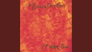 17 Year Sun