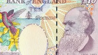 Darwin and Derivatives: 19th Century Insights into 21st Century Finance - Charles Taylor