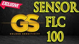 SENSORS FLC 100 + ANALOG GRADIOMETER