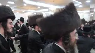 מחזה מרהיב עין: ריקודי השמחה המרוממים בשמחת הנישואין ההיסטורית מאקווה - קוממיות • צפו 👑✨