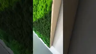 Behind the scenes of VITAE&rsquo;s custom moss wall 🌿