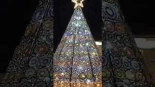 Encendido de alumbrado Navideño.